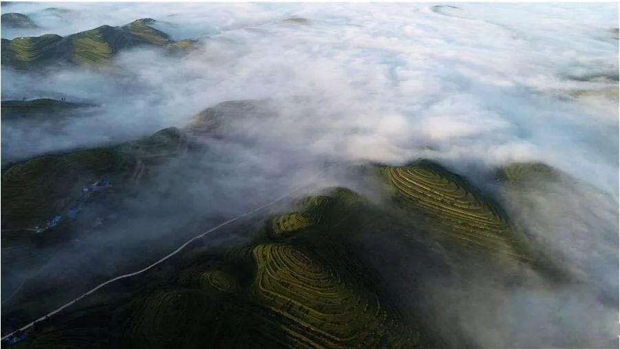 韩国网友因中国拌饭植入广告炸锅，你能理解他们的想法吗？游戏画面
