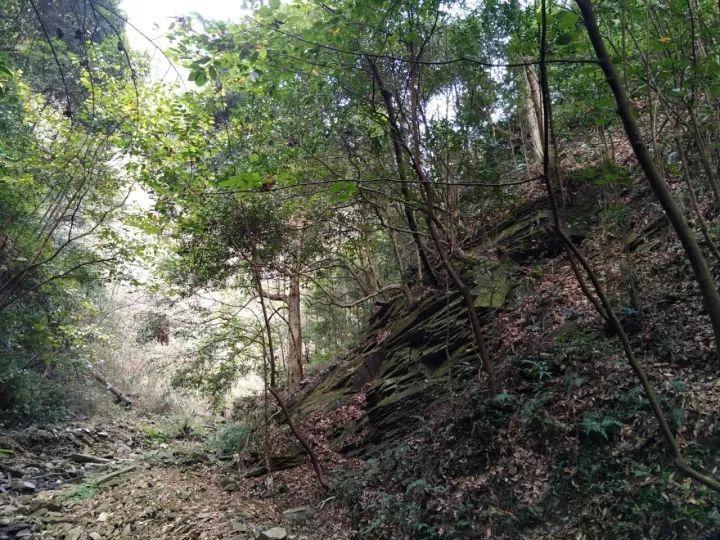 怎么删除重复的照片游戏画面
