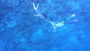 恶灵附身