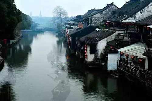 营救小乌龟